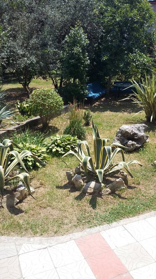 Guest House Dali Gagra Buitenkant foto