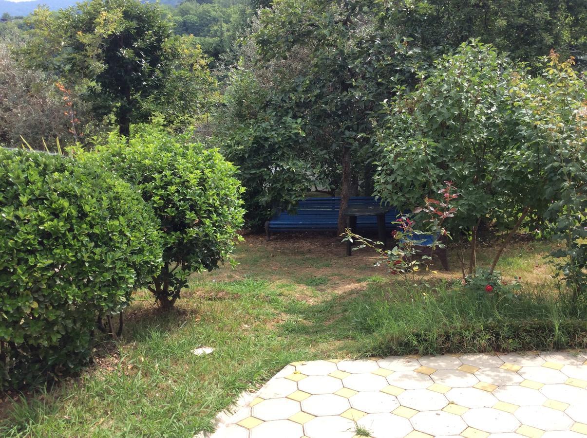 Guest House Dali Gagra Buitenkant foto