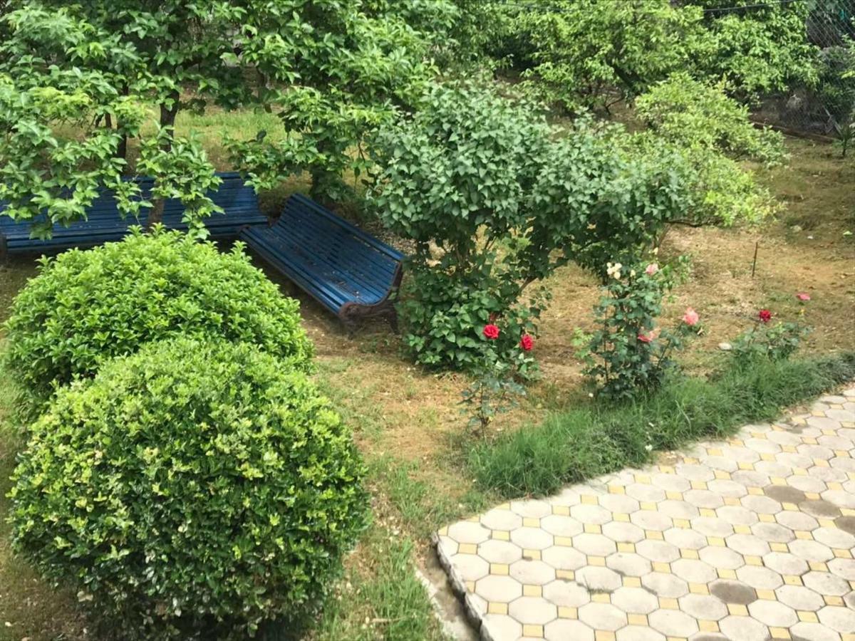 Guest House Dali Gagra Buitenkant foto